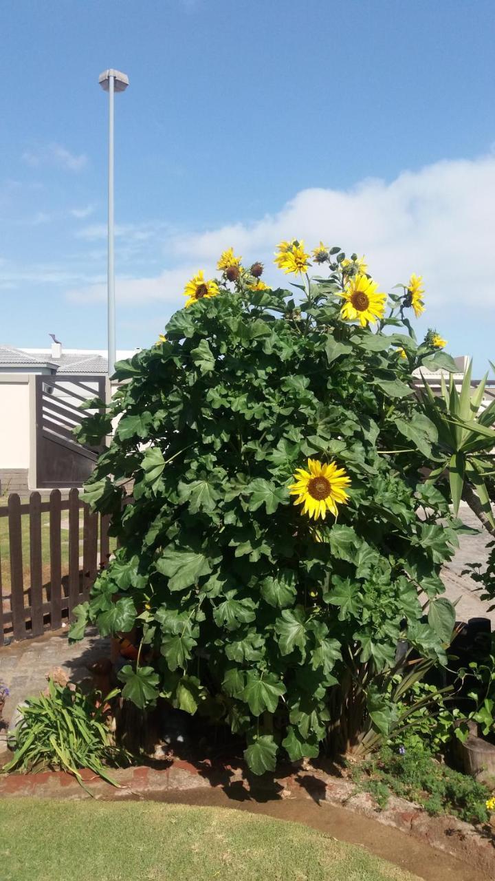 Sunflower Self-Catering Walvis Bay Eksteriør billede